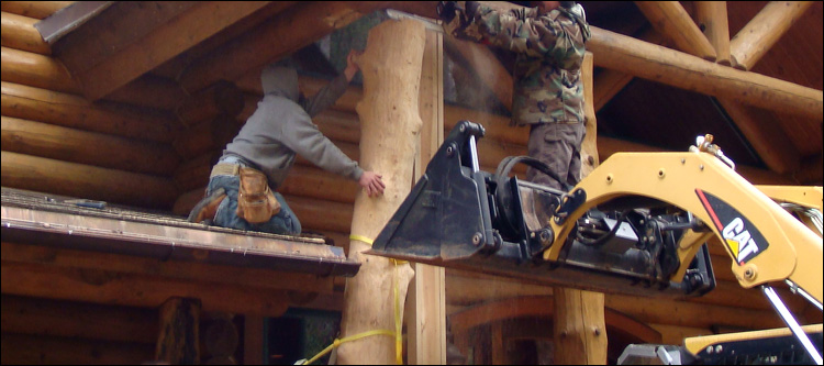 Log Home Log Replacement  Middlesex County, Virginia