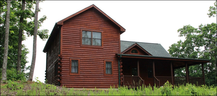 Professional Log Home Borate Application  Middlesex County, Virginia