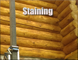  Middlesex County, Virginia Log Home Staining